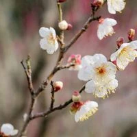 画像1413：フェンス設置工事 吉川市